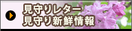 背^[ / VN