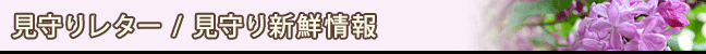 背^[ / VN